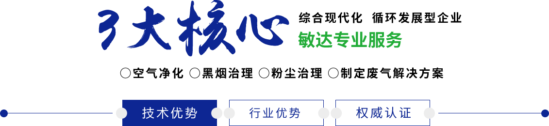 骚B想被大鸡巴艹视频敏达环保科技（嘉兴）有限公司